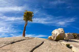 Olmsted Point-4862.jpg